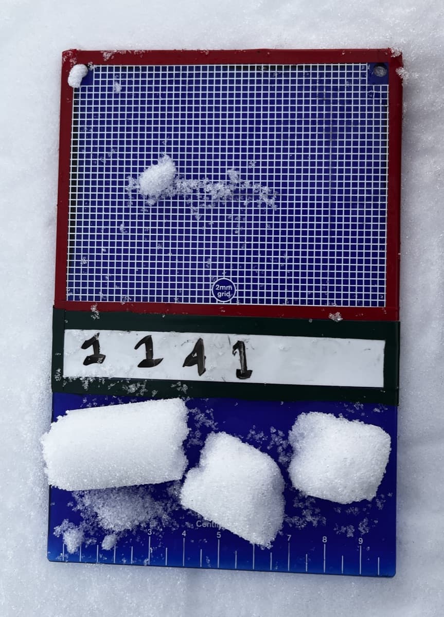 Gridded crystal card with snow core samples and a handwritten sample number