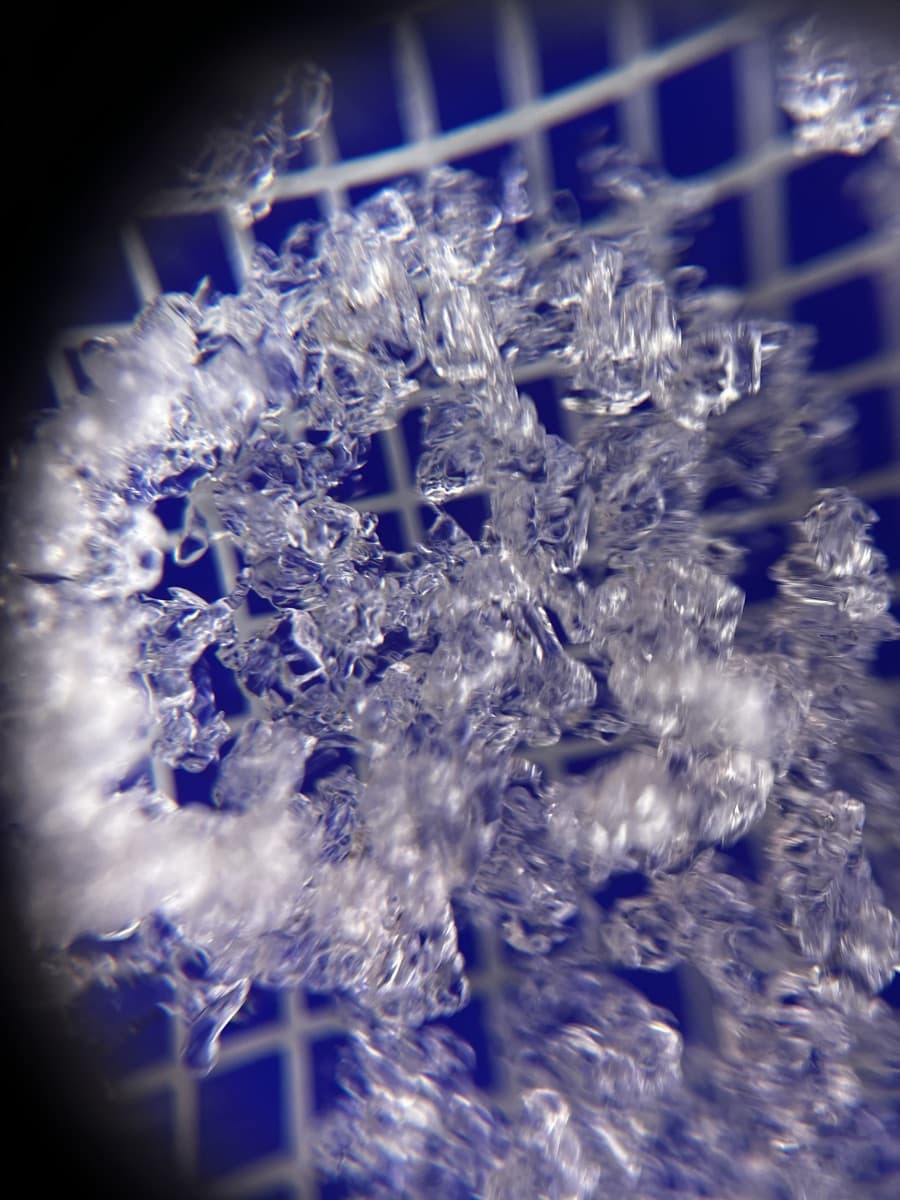 Real magnified snowpack profile: snow crystals on a gridded crystal card under a field loupe